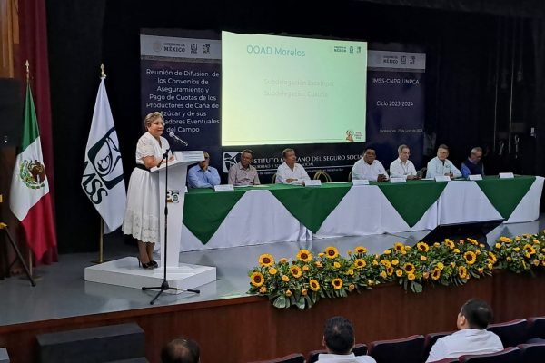 Capacita IMSS Veracruz Sur a sector cañero para aseguramiento y pago de cuotas