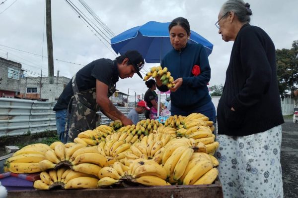 Promueve Ayuntamiento de Córdoba “Mercado Sobre Ruedas”